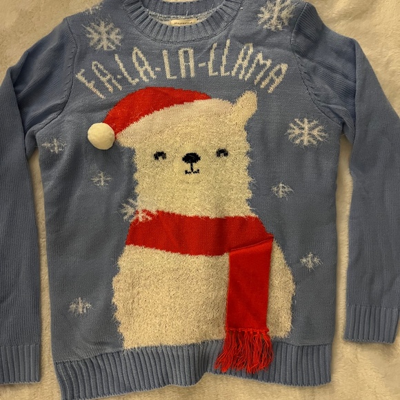 Aeropostale Christmas/Winter Sweater - Picture 1 of 6